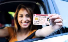 License Assistance